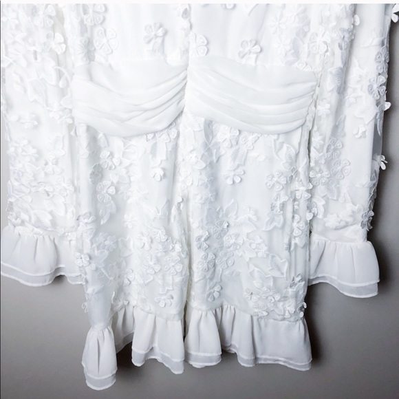 NWT BLUSH Lace Applique Mesh Ruffle Mini Dress - Picture 5 of 5